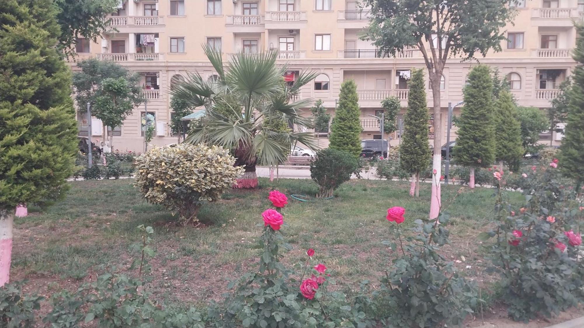 Apartamento Banu House Sumqayıt Exterior foto